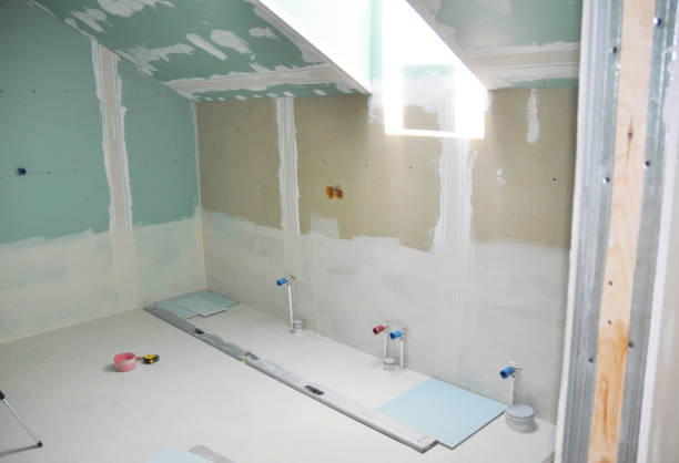 Best Mold Prevention Services  in Portales, NM