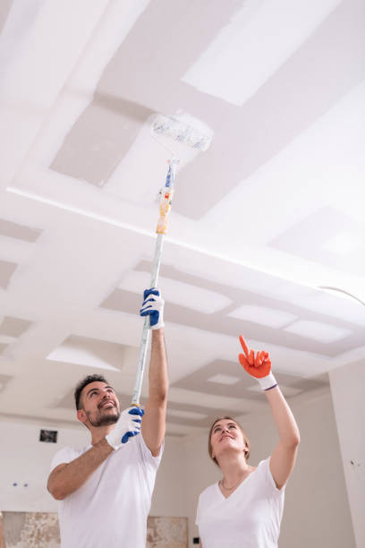 Best Emergency Mold Remediation  in Portales, NM