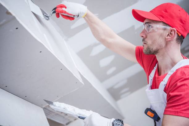 Best Biohazard Mold Removal  in Portales, NM